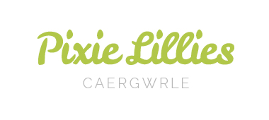 Pixie Lillies in Wrexham