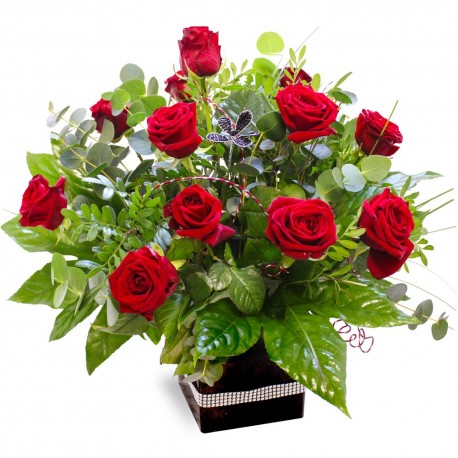 12 red roses in box