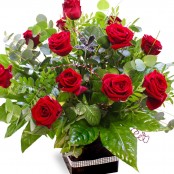 12 red roses in box