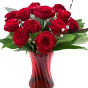 12 red roses in a Vase