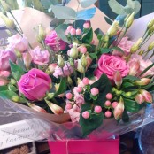 Pretty Pinks